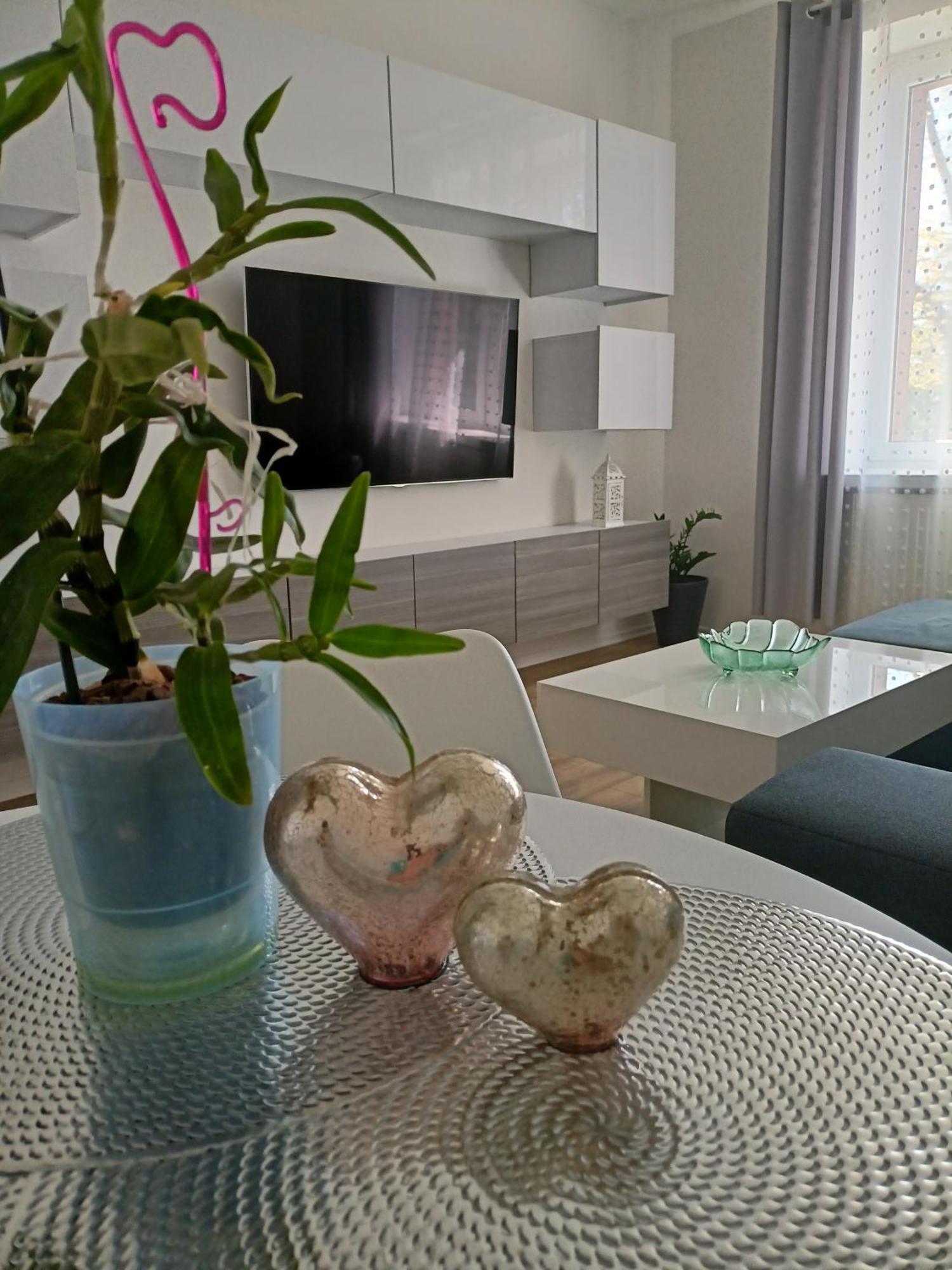 Slowackiego 41 Apartament